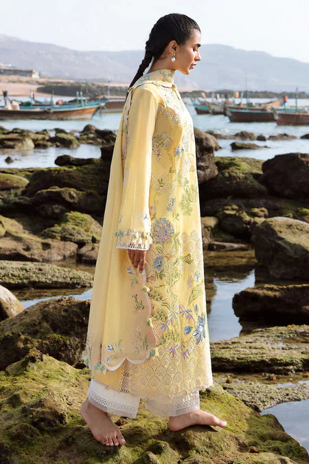 Lana - ZL23-04A - Summer Lawn