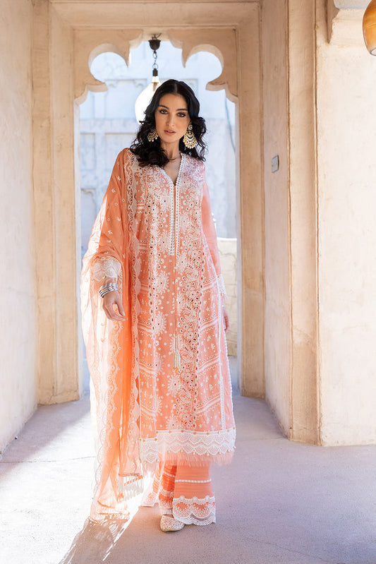 DESIGN 11B VITAL 2022 UNSTITCHED