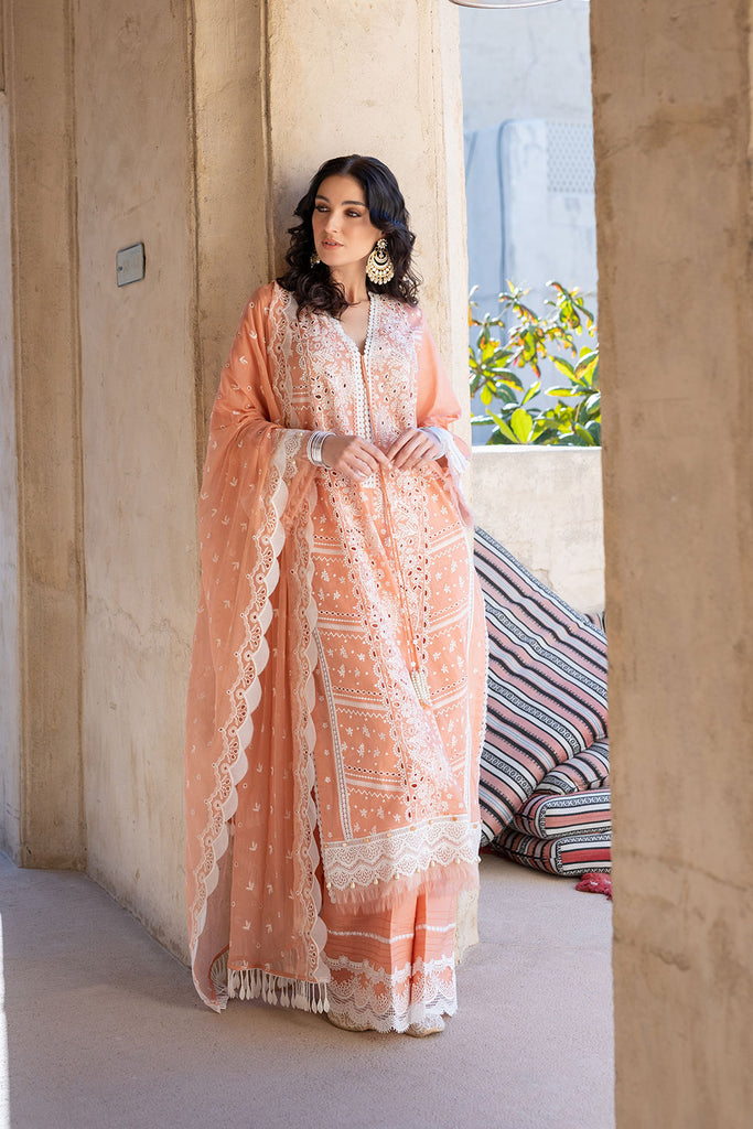 DESIGN 11B VITAL 2022 UNSTITCHED
