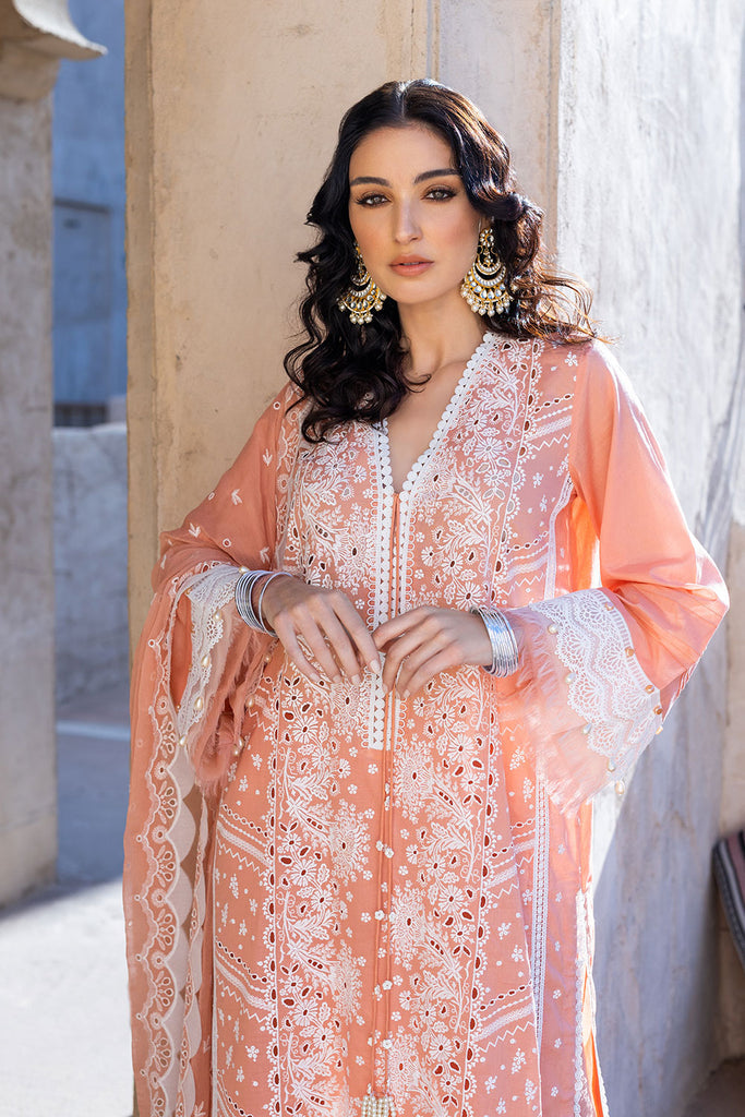 DESIGN 11B VITAL 2022 UNSTITCHED