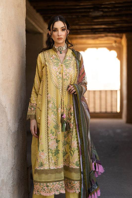 DESIGN 1B VITAL 2022 UNSTITCHED