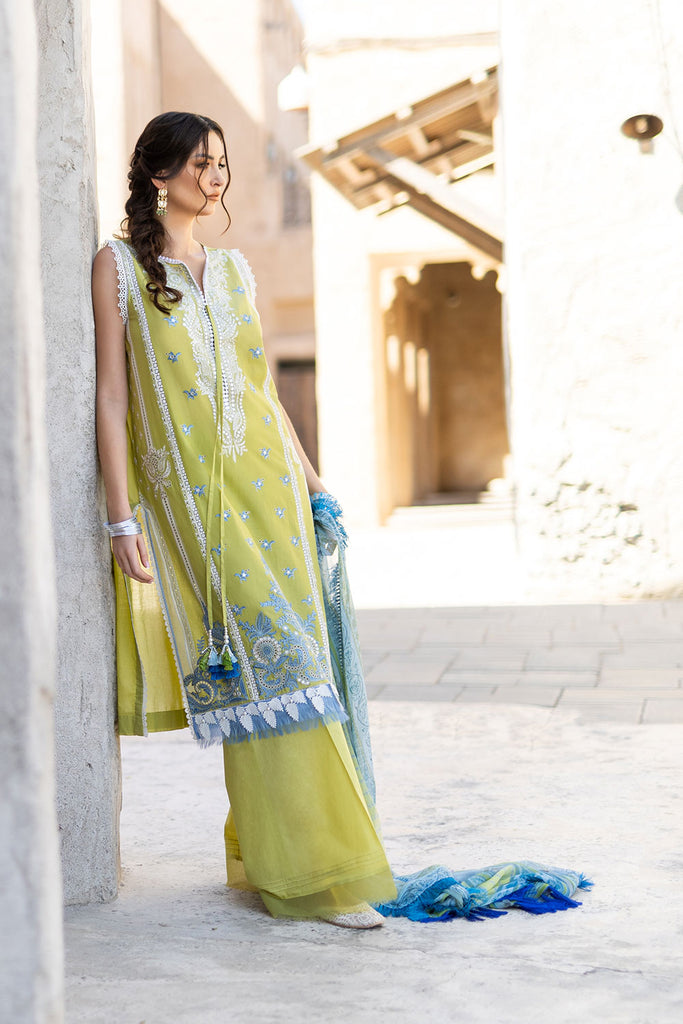 DESIGN 5A VITAL 2022 UNSTITCHED