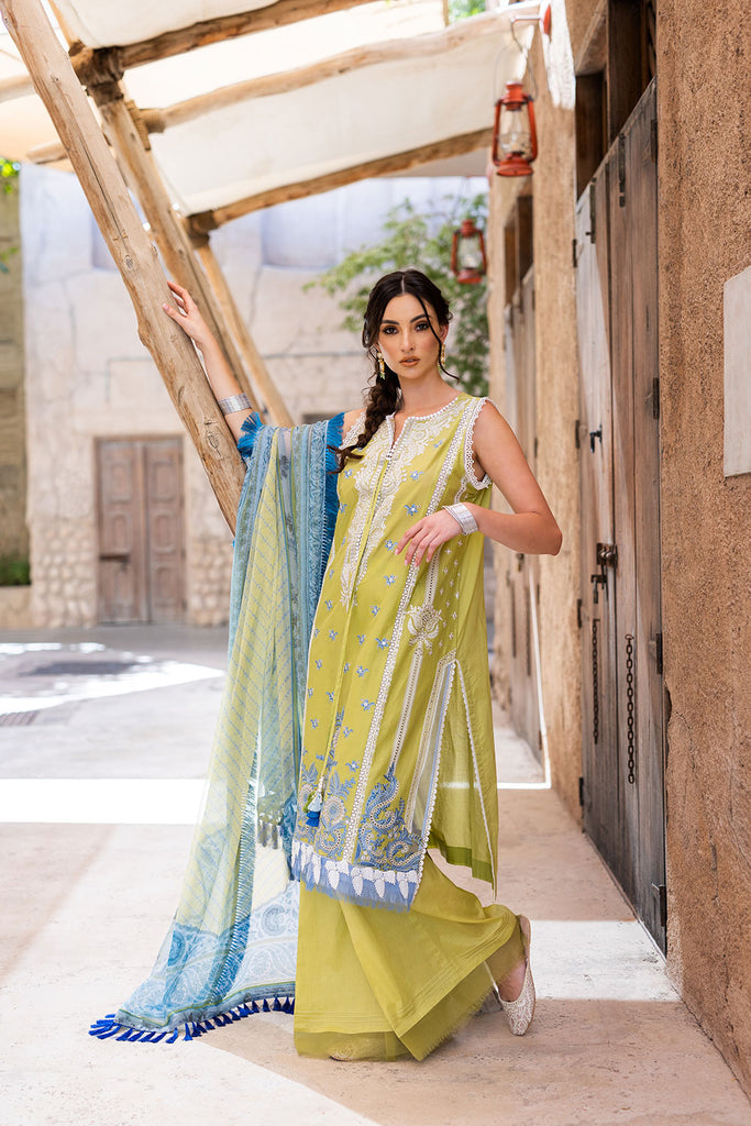 DESIGN 5A VITAL 2022 UNSTITCHED