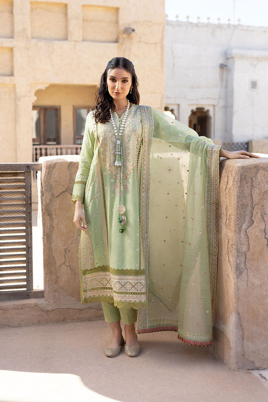 DESIGN 6B VITAL 2022 UNSTITCHED